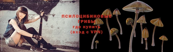 ешки Абаза