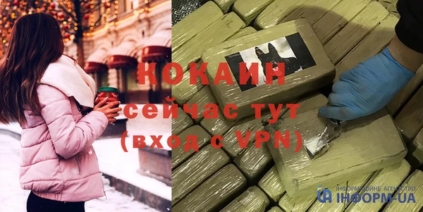 ешки Алексин