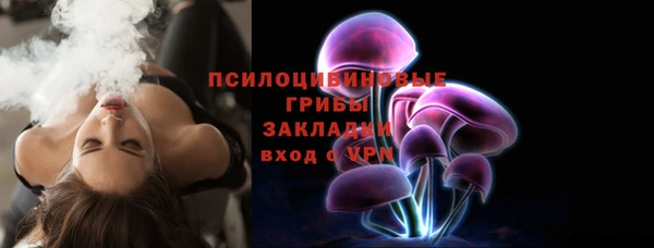 ешки Алексин